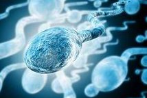 2026年一季度福州助孕机构关于试管助孕费用新一期数据一览