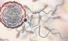 2026全国权威三代试管机构排名更新，附医院试管助孕成功率