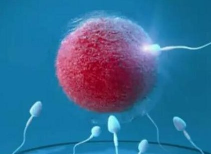 2026年上海试管婴儿收费贵吗？普通家庭是否能负担得起？