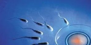 2026唐山市做试管助孕成功率比较高的机构排行榜前五